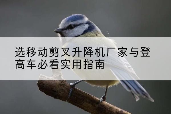 贺州电动升降机厂家-选移动剪叉升降机厂家与登高车必看实用指南