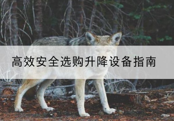 贺州升降货梯厂家推荐-*安全选购升降设备指南